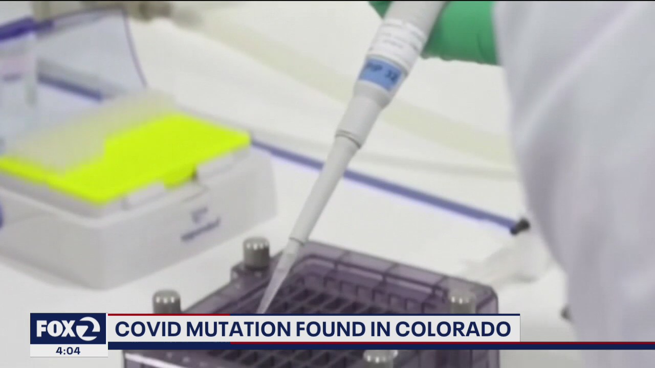 Coronavirus variant found in Colorado