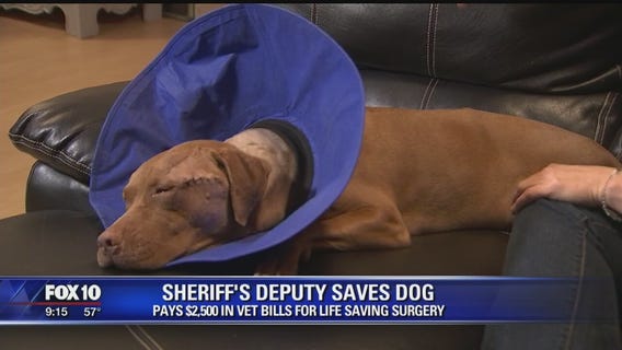 Christmas miracle: woman's dog saved by generous deputy