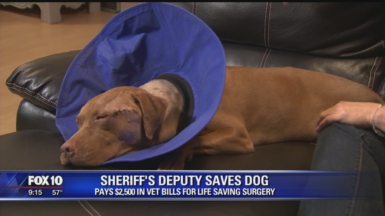Christmas miracle: woman's dog saved by generous deputy
