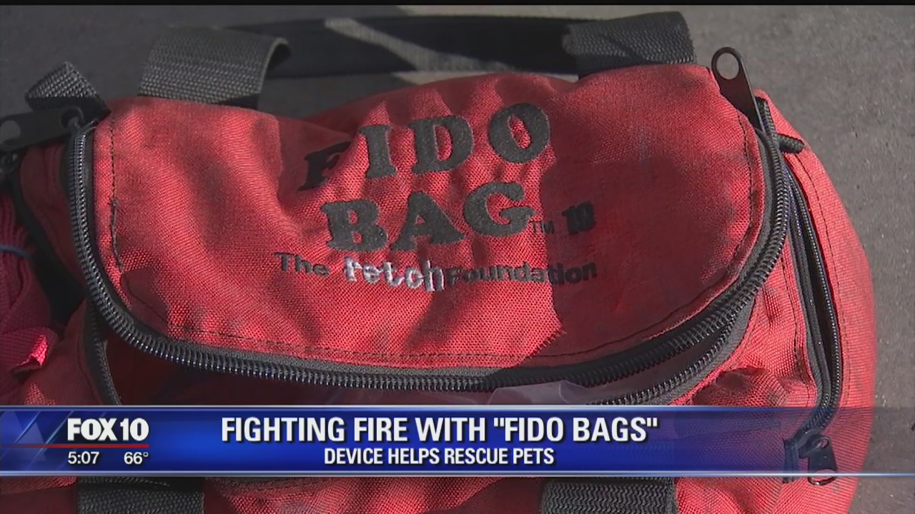 Firefighters save 2 dogs from Phoenix house fire | FOX 10 Phoenix