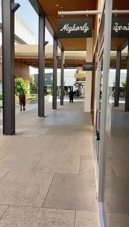 Witness video shows group who stole over $100,000 in high-end Louis Vuitton handbags