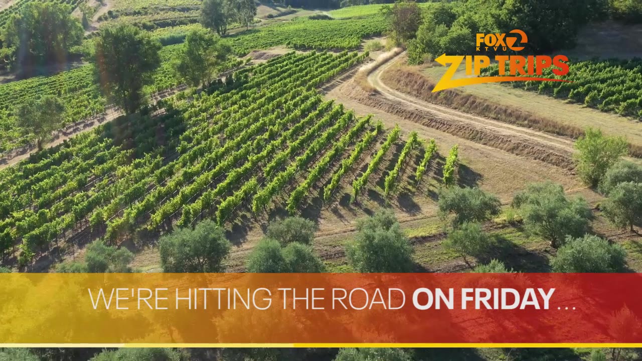 Zip Trips explores the North Bay