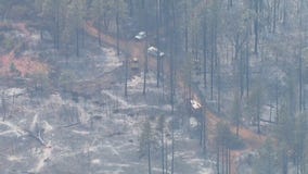 Dixie Fire: Devastation along Willow Glen Road in Yuba County