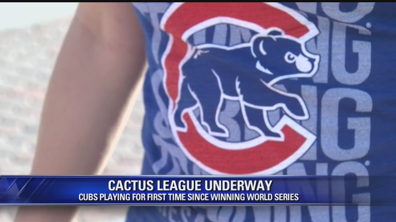 Chicago Cubs fans relish in first game of spring training since World Series win
