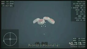 SpaceX's 1st tourists splash down in the Atlantic after 3 days in orbit