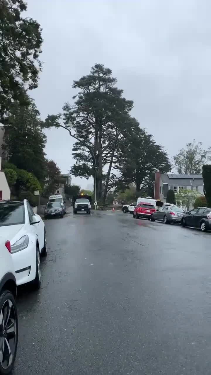 Buildings evacuating due to leaning tree in San Francisco