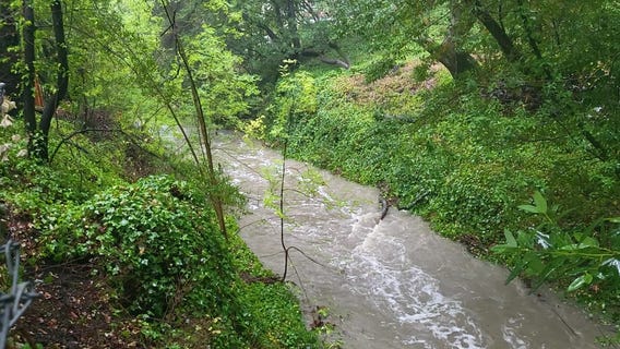 San Pablo Creek in Orinda is flowing