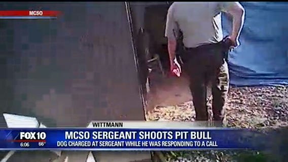 MCSO: Dog shot after it lunged at sergeant
