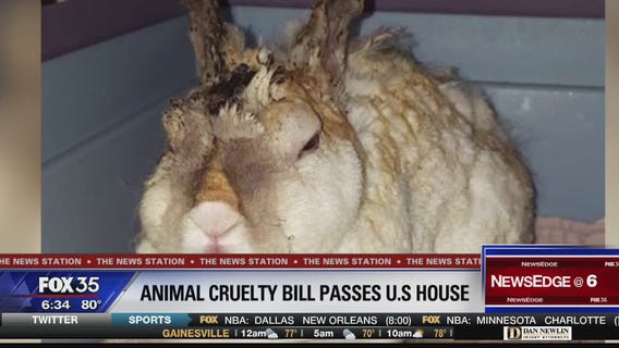 An act that will make animal cruelty a felony is closer to becoming law