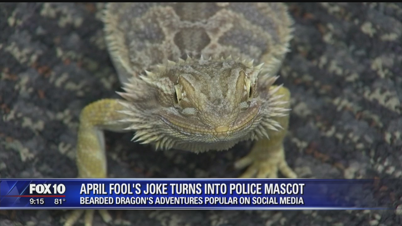 April Fool's Joke turns bearded dragon into Avondale PD mascot