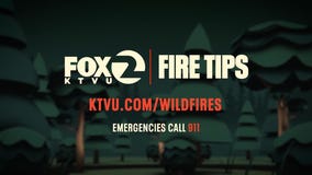 Wildfire tips: trim brush