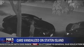 Woman caught on camera vandalizing cars
