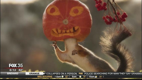 Let's Get Digital (10/29/19)