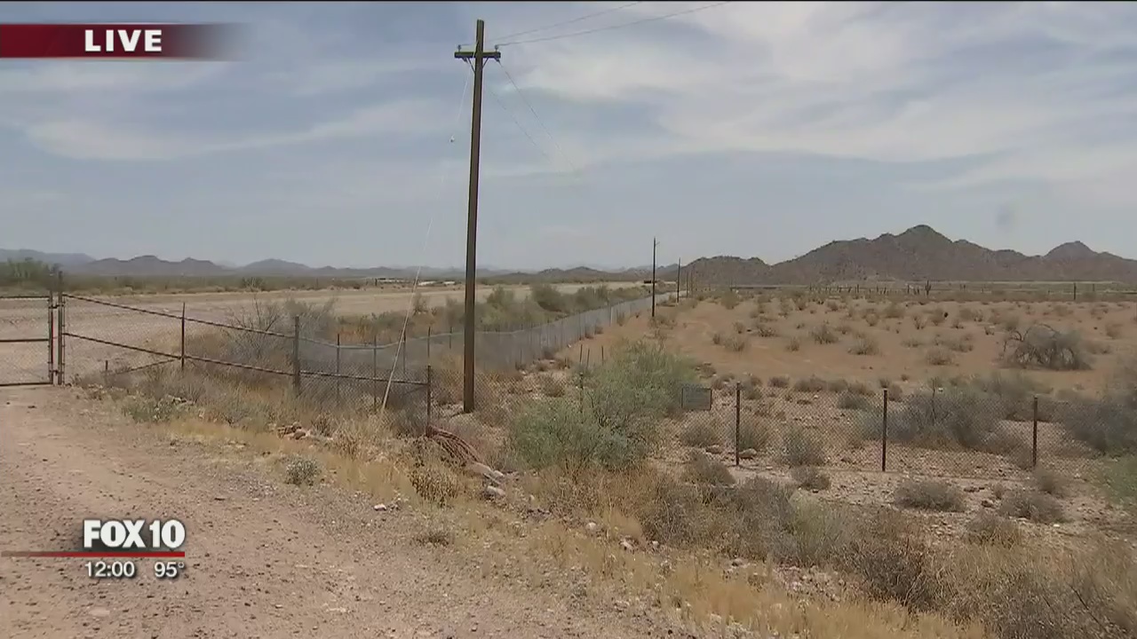 Firefighters: Man stung several hundreds of times by bees