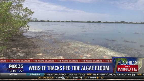 Website to track toxic algae in Florida
