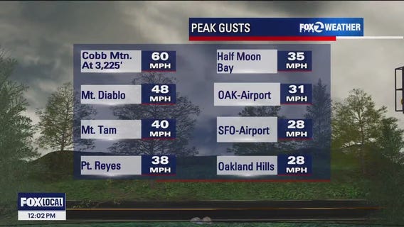 Wet and windy: Bay Area gusts could reach up to 60 mph