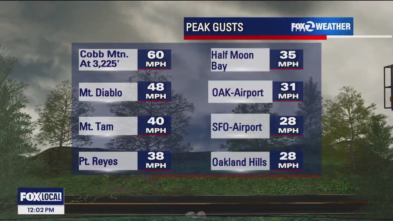 Wet and windy: Bay Area gusts could reach up to 60 mph