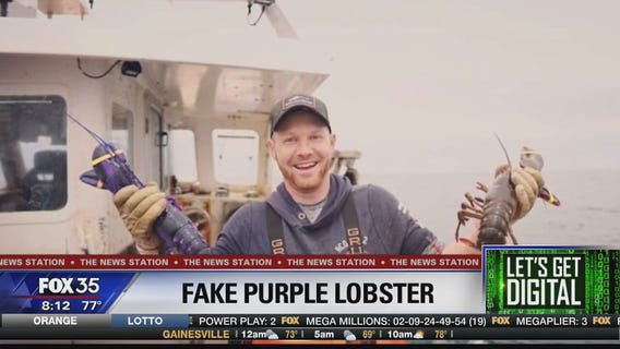 Let's Get Digital: Stories trending on November 6, 2019