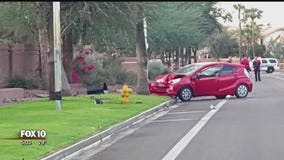 Police: Driver arrested after hitting, killing jogger in Ahwatukee