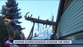 West Coast Wrap: January 15, 2024