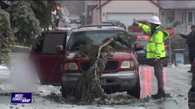 West Coast Wrap: January 18, 2024