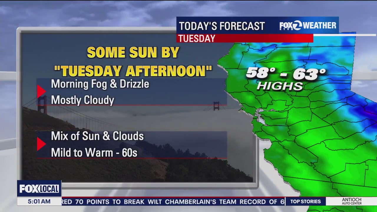 Morning fog and drizzle