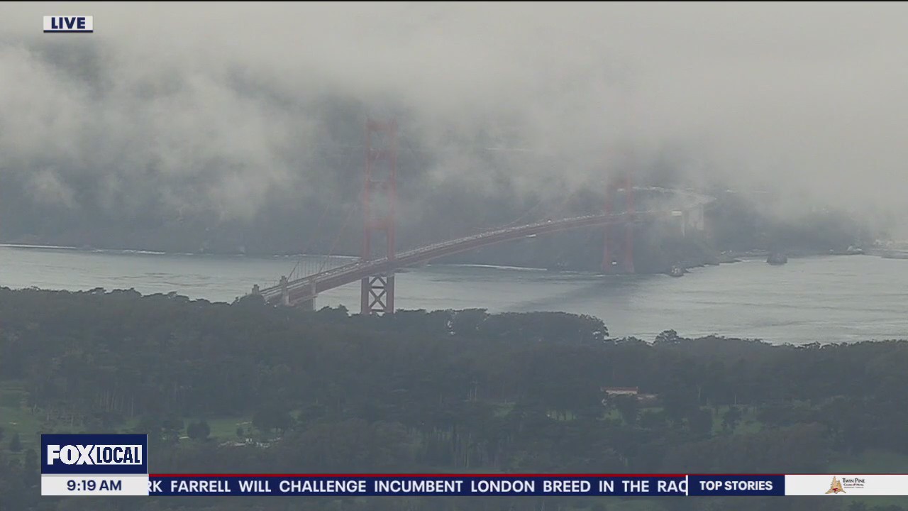 Scattered showers build up to widespread downpour