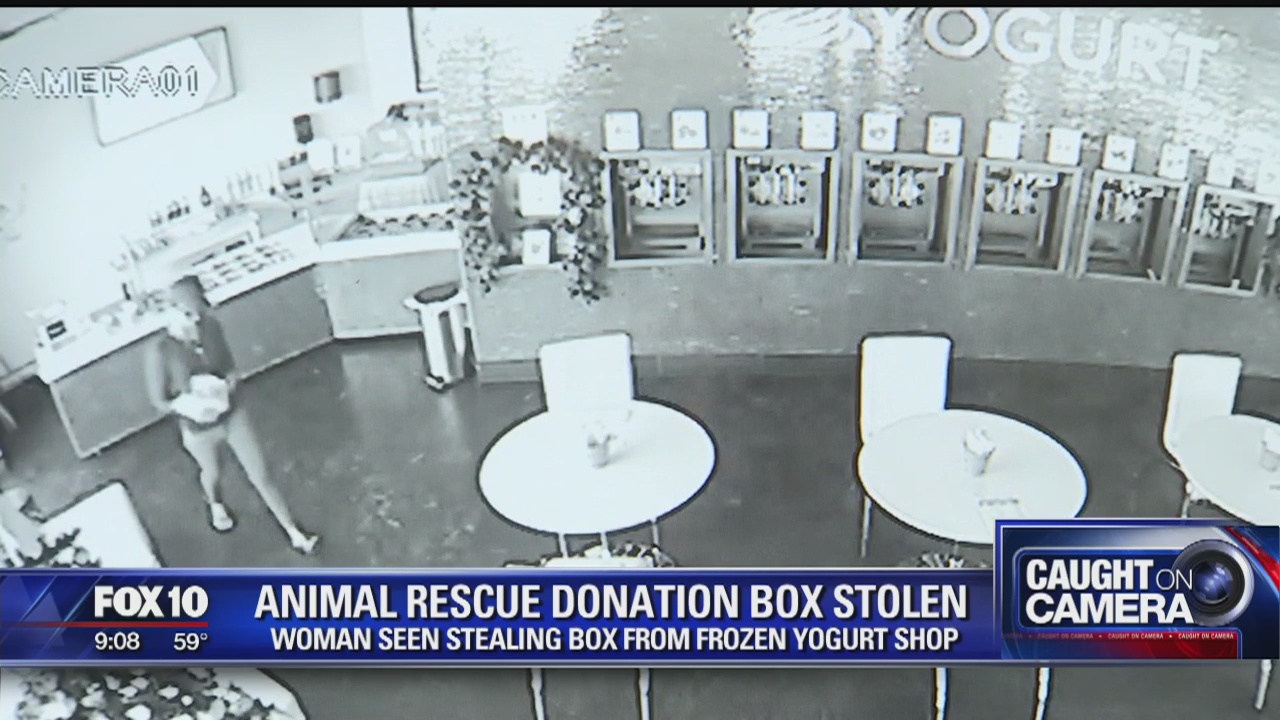 Suspect steals Peoria yogurt shop's donation box