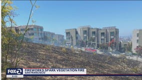 Illegal fireworks cause 2-acre brush fire in San Francisco
