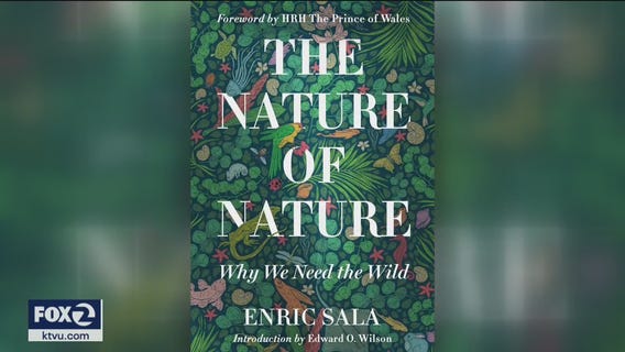 "The Nature of Nature" book