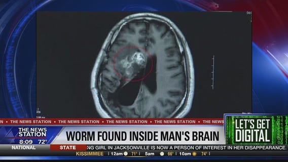 Let's Get Digital: Stories trending on November 11, 2019