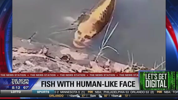 Let's Get Digital: Stories trending on November 13, 2019