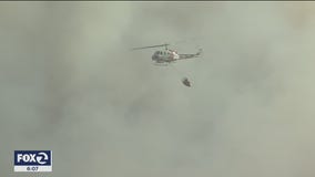 Repopulation underway near LNU Lighting Complex Fires