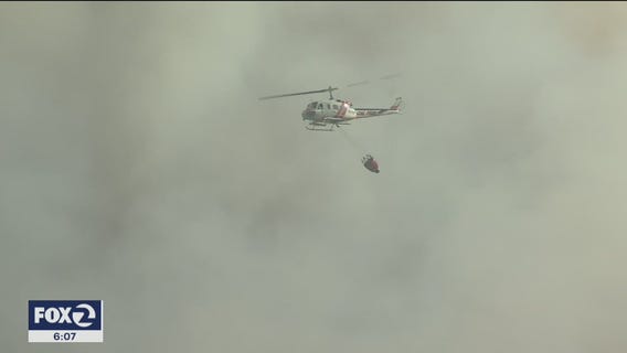 Repopulation underway near LNU Lighting Complex Fires