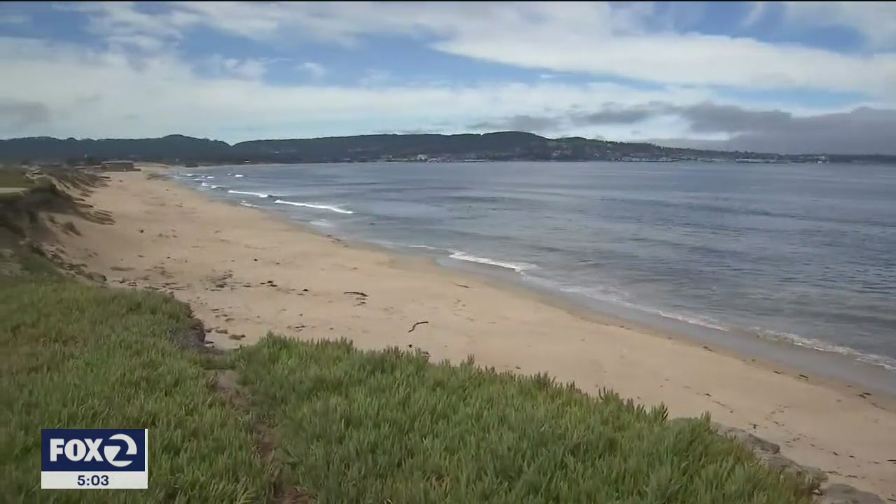 Most Bay Area beaches will be open for Labor Day weekend