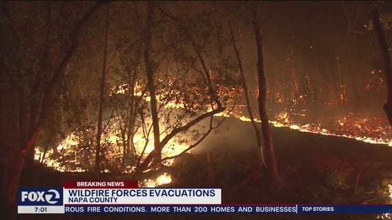 Fire forces evacuations in Napa County