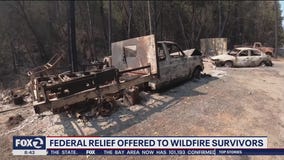 Federal agencies offer relief to wildfire survivors.