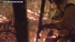 The science behind controlling fire with fire