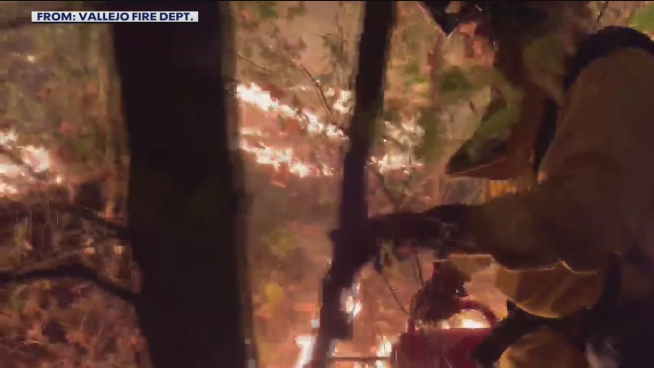 The science behind controlling fire with fire