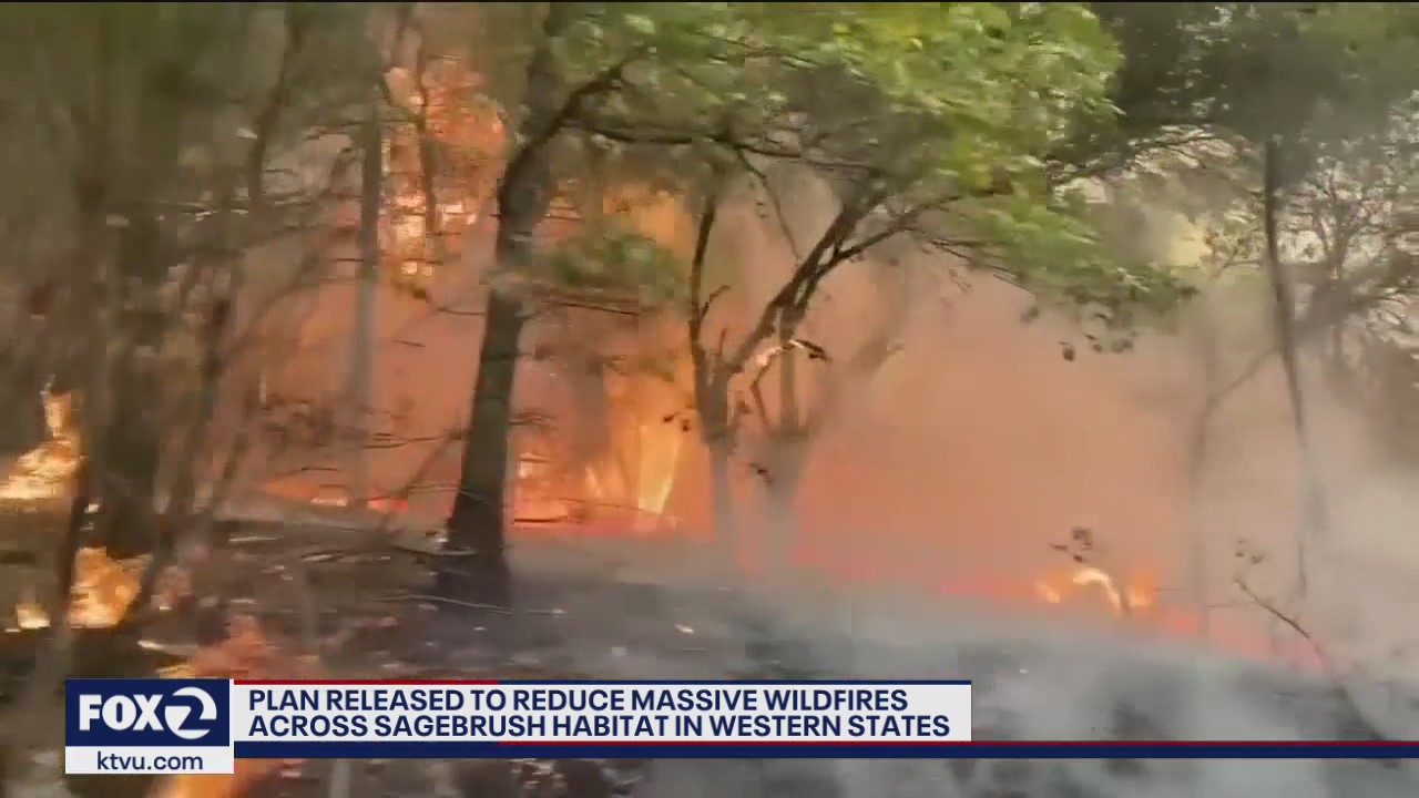 Plan released to reduce massive wildfires across western states
