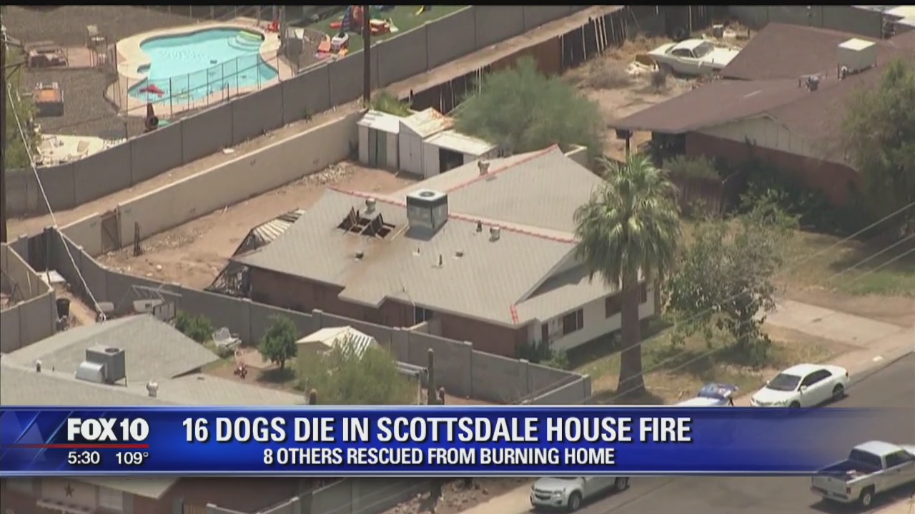 Firefighters: 16 dogs die in south Scottsdale house fire | FOX 10 Phoenix