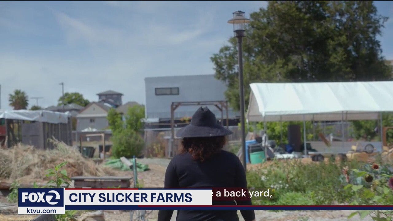 City Slicker Farms