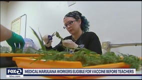 Medical marijuana workers eligible for vaccine before teachers