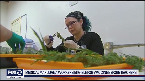 Medical marijuana workers eligible for vaccine before teachers