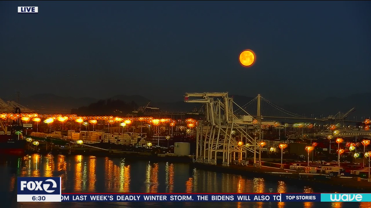 Cool morning, sunny later on