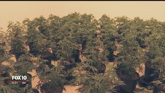 Phoenix Mayor proposing hefty tax on marijuana businesses for public safety funding