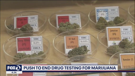 Legislation would protect California workers from cannabis screening