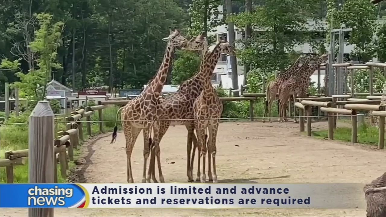 Turtle Back Zoo reopens after three-month closure