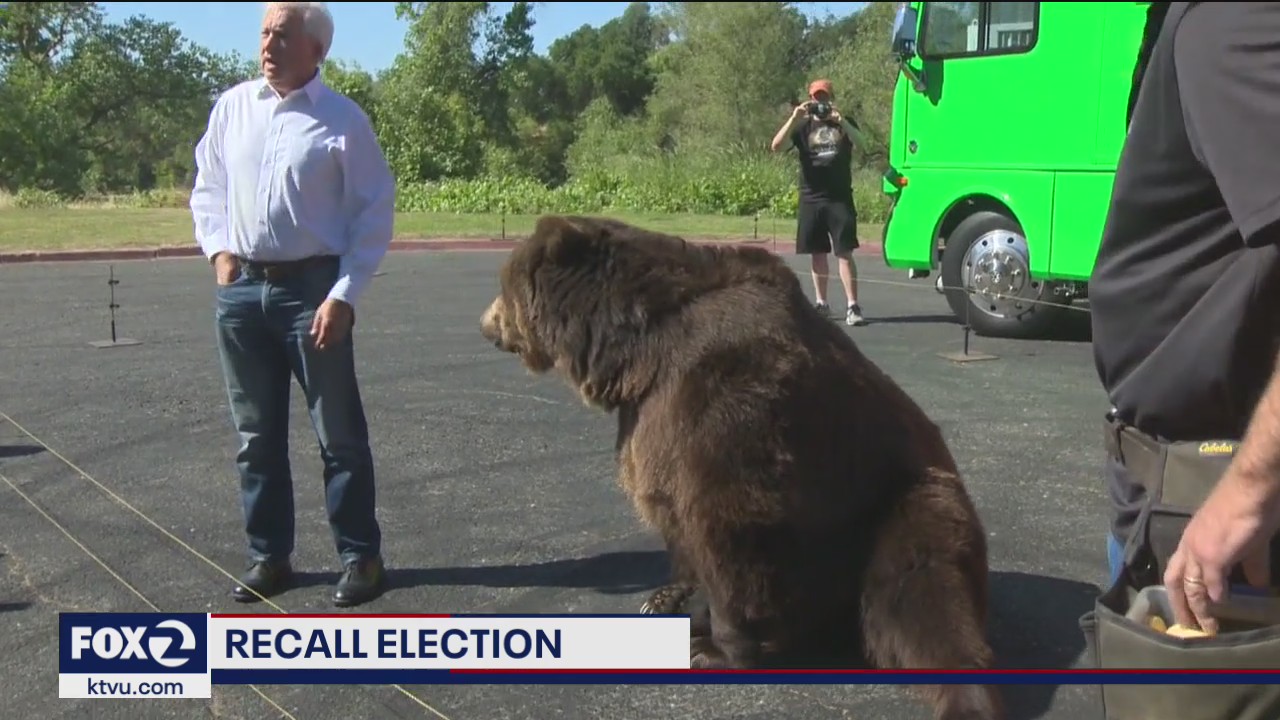 Republican John Cox brings live bear on recall campaign trail as Newsom picks up new endorsements