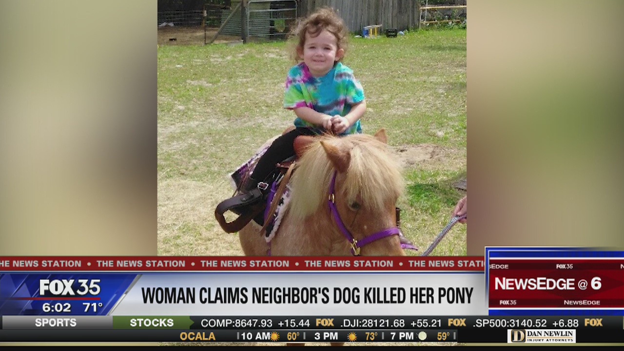 Woman claims neighbor's dog killed pet pony